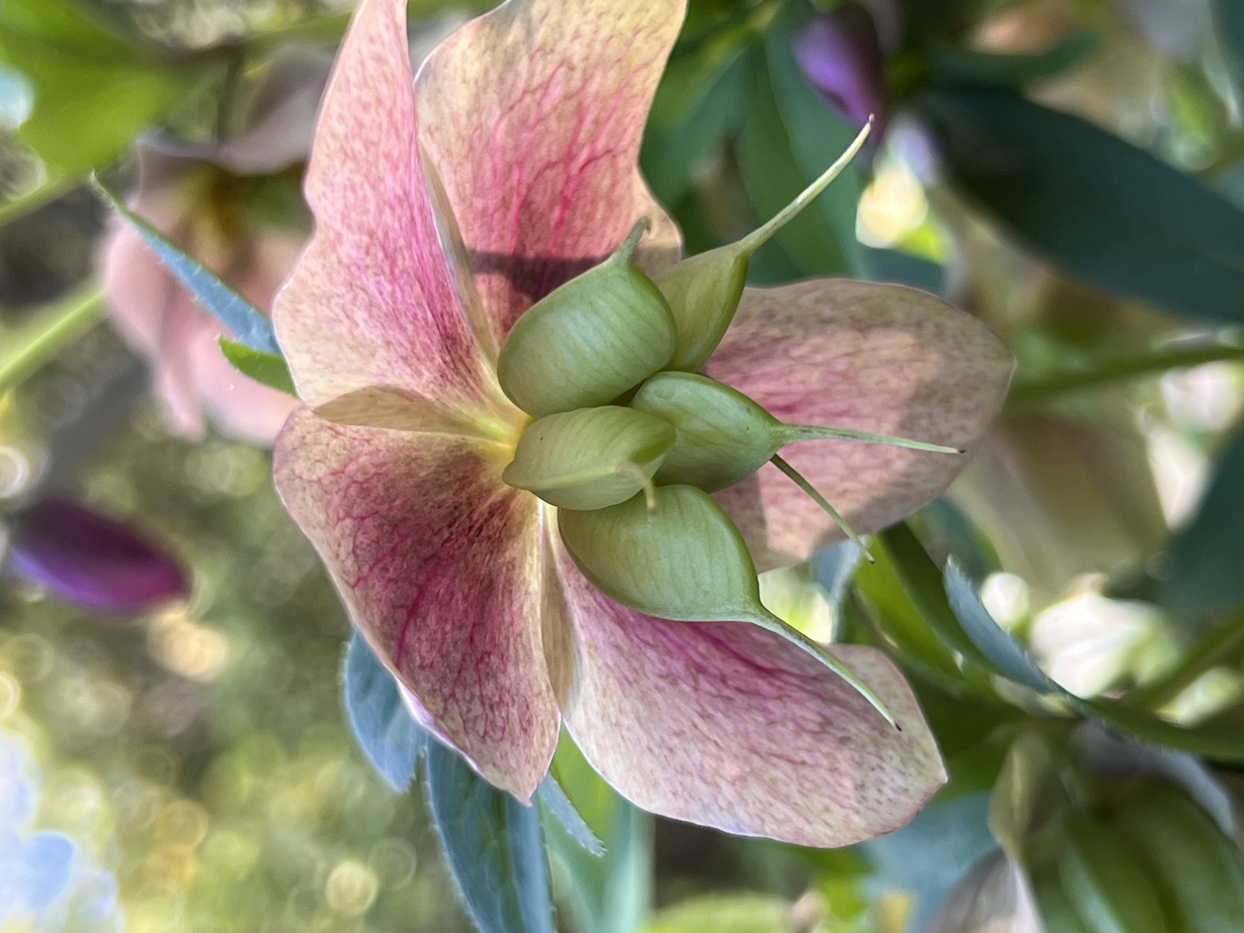 ./2023/05 - Toni Adventures/IMG_3229.JPG